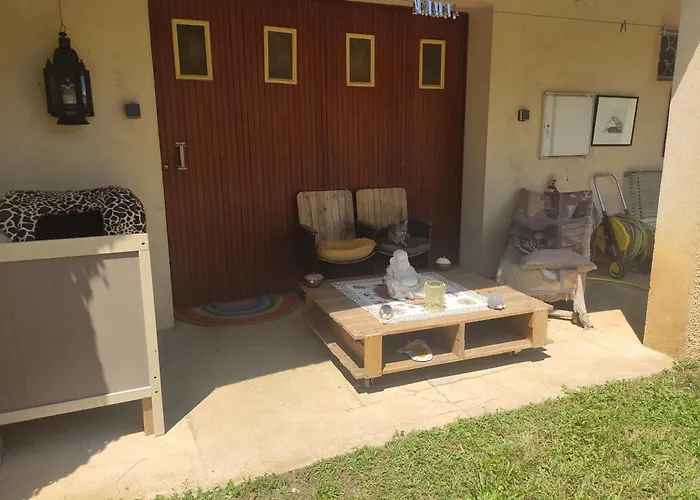 Les Chambres Des Chats Malicieux