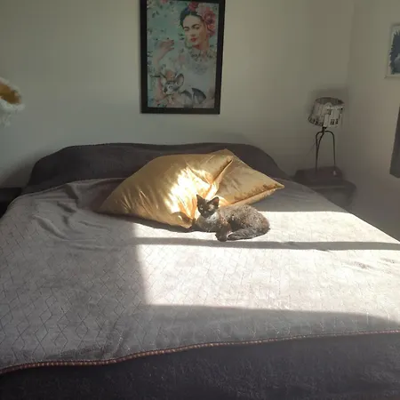 Les Chambres Des Chats Malicieux Cajarc Quarto foto