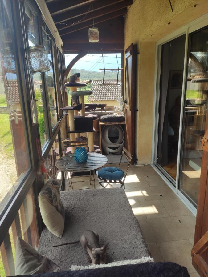Bed & Breakfast Les Des Chats Malicieux Cajarc