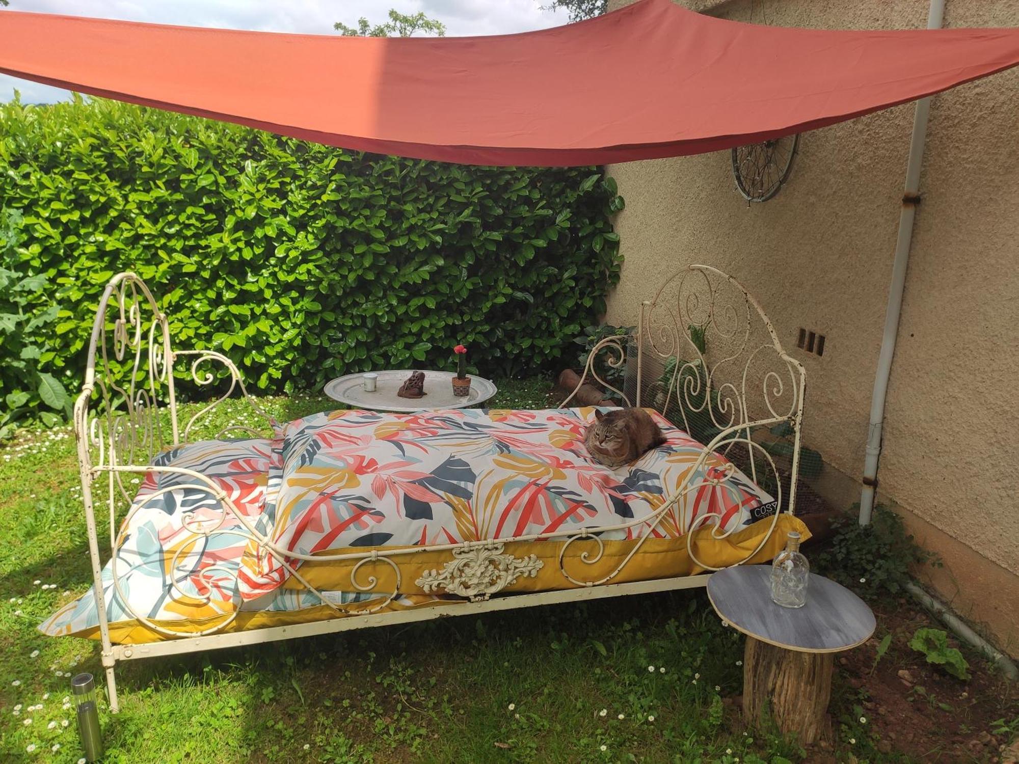 Les Des Chats Malicieux Bed & Breakfast *