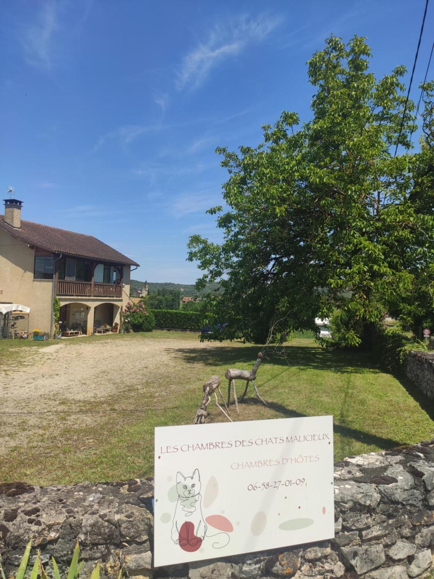 Les Des Chats Malicieux Bed & Breakfast